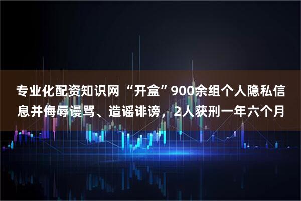 专业化配资知识网 “开盒”900余组个人隐私信息并侮辱谩骂、造谣诽谤，2人获刑一年六个月