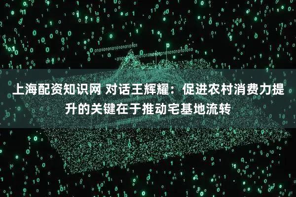上海配资知识网 对话王辉耀：促进农村消费力提升的关键在于推动宅基地流转